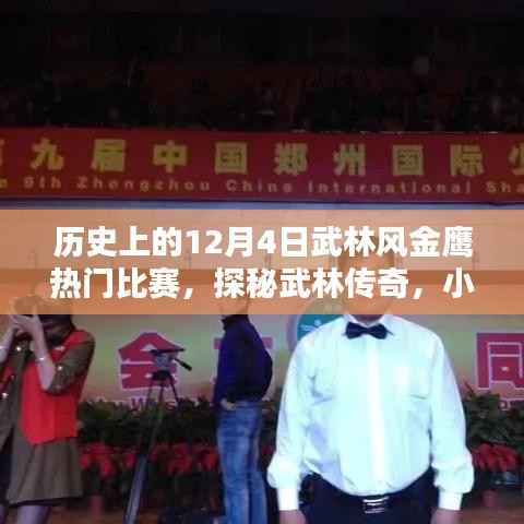 武林风金鹰热门比赛日,热血对决与小巷深处的武林传奇探秘