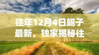 独家揭秘,历年12月4日蝎子最新动态全解析