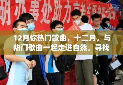 十二月热门歌曲,心灵静谧的自然之旅