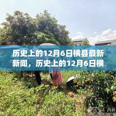 历史上的12月6日横县新闻回顾与深度评测