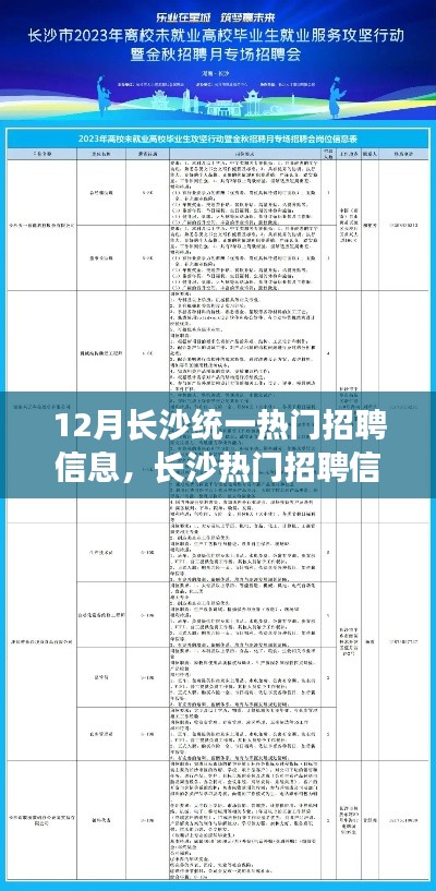 长沙热门招聘12月全攻略,求职步骤详解与招聘信息统一指南