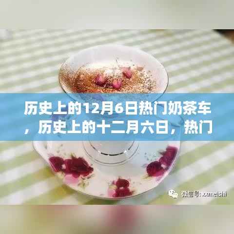 历史上的十二月六日,热门奶茶车现象深度解析与回顾