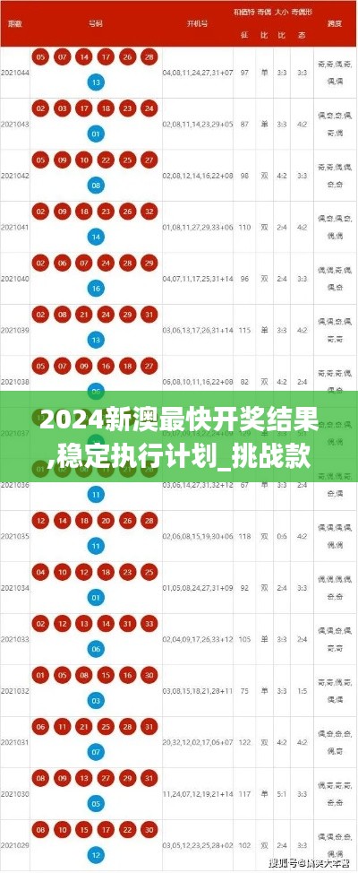 2024新澳最快开奖结果,稳定执行计划_挑战款14.564