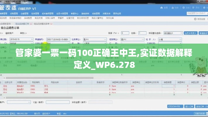 管家婆一票一码100正确王中王,实证数据解释定义_WP6.278