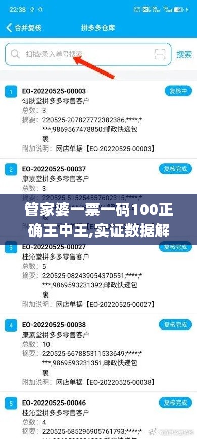 管家婆一票一码100正确王中王,实证数据解释定义_WP6.278