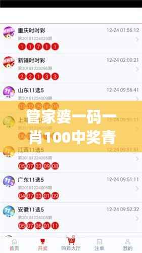 管家婆一码一肖100中奖青岛,全面数据策略解析_N版7.550
