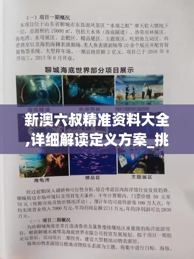 驾轻就熟 第3页