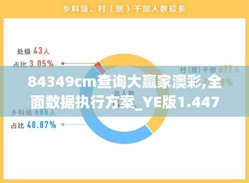 84349cm查询大赢家澳彩,全面数据执行方案_YE版1.447