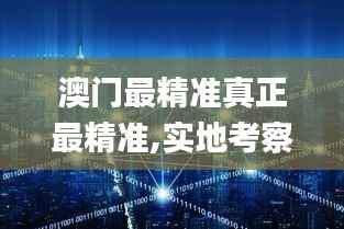 澳门最精准真正最精准,实地考察数据执行_Deluxe10.230