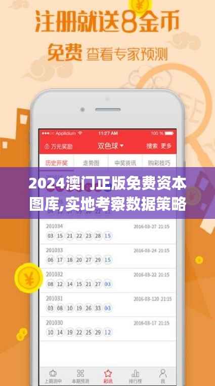 2024澳门正版免费资本图库,实地考察数据策略_复刻版13.753