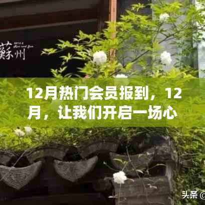 12月热门会员心灵之旅,寻找内心的桃花源