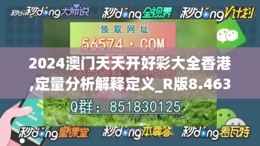 2024澳门天天开好彩大全香港,定量分析解释定义_R版8.463