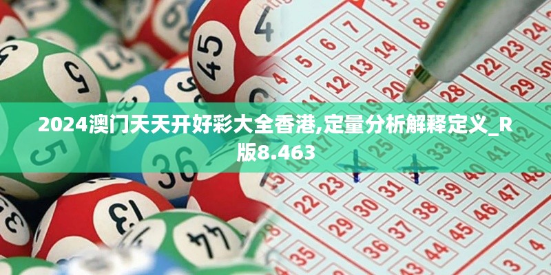 2024澳门天天开好彩大全香港,定量分析解释定义_R版8.463