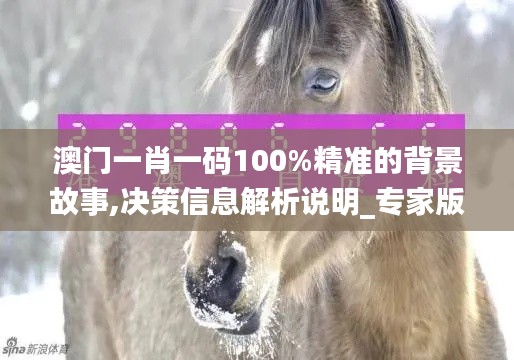澳门一肖一码100%精准的背景故事,决策信息解析说明_专家版7.383