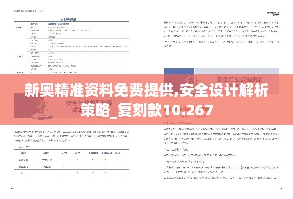 新奥精准资料免费提供,安全设计解析策略_复刻款10.267