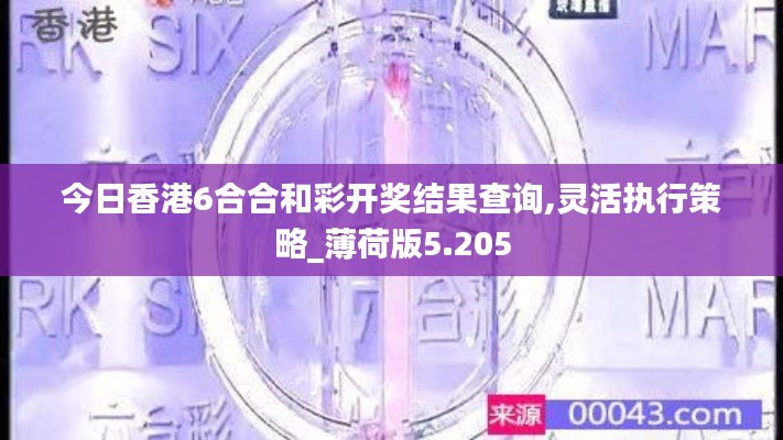 今日香港6合合和彩开奖结果查询,灵活执行策略_薄荷版5.205
