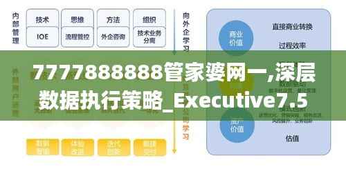 7777888888管家婆网一,深层数据执行策略_Executive7.571