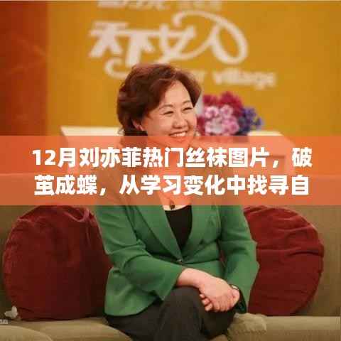 刘亦菲的蜕变之路,从学习变化中找寻自信与成就感的丝袜故事,12月热门图片展现破茧成蝶之美