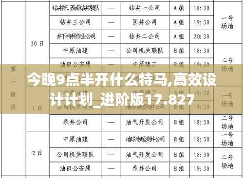 今晚9点半开什么特马,高效设计计划_进阶版17.827