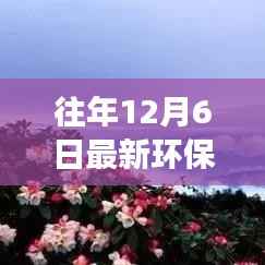 探索自然秘境,最新环保图片的心灵之旅,领略环保魅力的瞬间体验