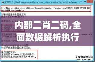 内部二肖二码,全面数据解析执行_Windows14.371