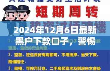 揭秘最新黑户下款口子真相与应对建议（警惕风险！）