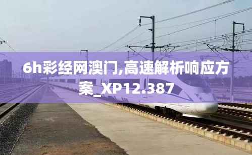 6h彩经网澳门,高速解析响应方案_XP12.387