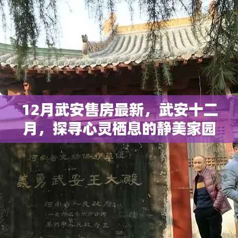 武安十二月最新房源解析，探寻静美家园的心灵栖息地