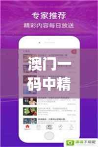 澳门一码中精准一码免费中特论坛,实地分析数据计划_7DM6.188