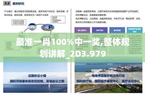 最准一肖100%中一奖,整体规划讲解_2D3.979