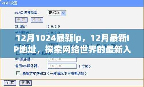 探索网络世界新入口,12月最新IP地址一网打尽