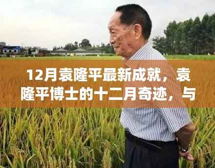 袁隆平博士十二月奇迹,自然美景中的内心平和之旅