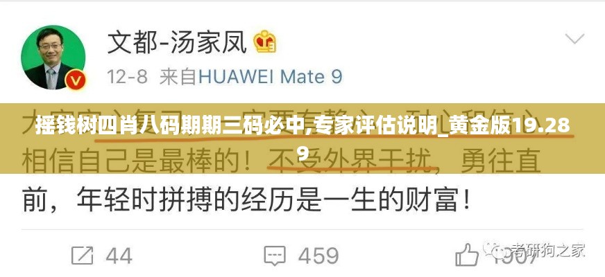 摇钱树四肖八码期期三码必中,专家评估说明_黄金版19.289
