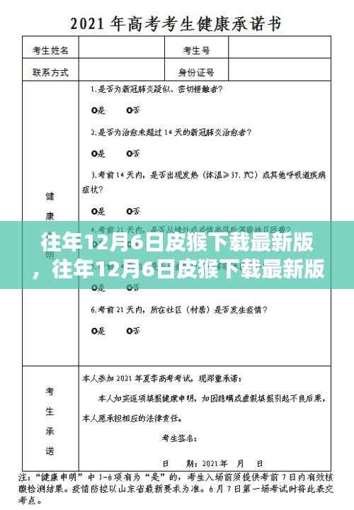 往年12月6日皮猴下载最新版,详细步骤指南及注意事项