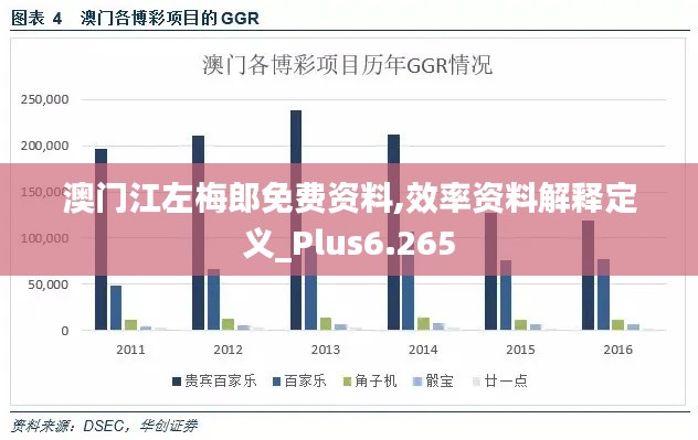 澳门江左梅郎免费资料,效率资料解释定义_Plus6.265