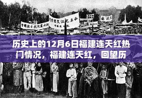 回望福建连天红在历史上的十二月六日热门情况分析