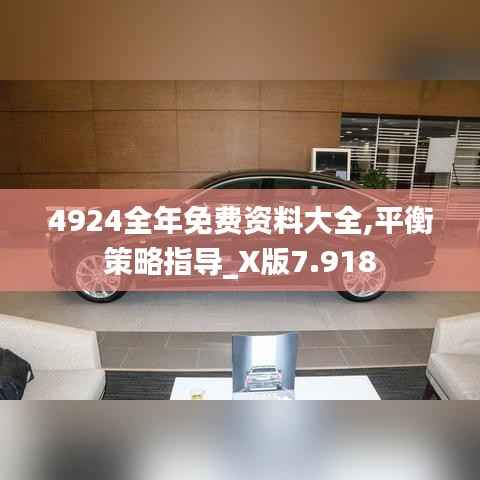 4924全年免费资料大全,平衡策略指导_X版7.918
