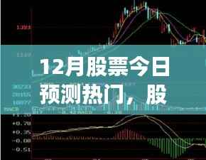 十二月股市热门预测,家的温馨与股市小探秘之旅