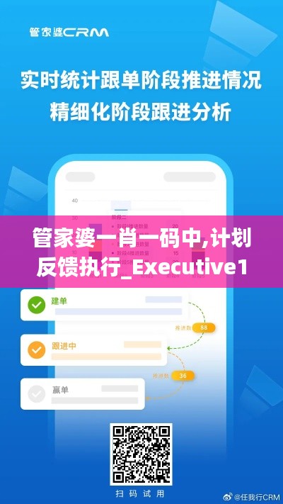 管家婆一肖一码中,计划反馈执行_Executive14.407