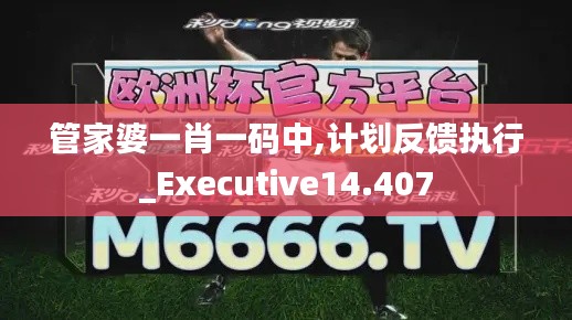 管家婆一肖一码中,计划反馈执行_Executive14.407