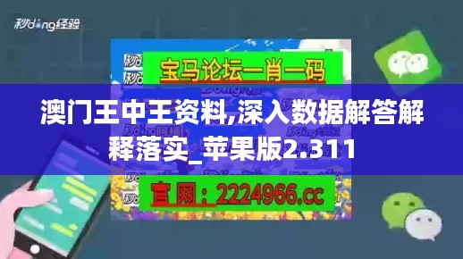 澳门王中王资料,深入数据解答解释落实_苹果版2.311