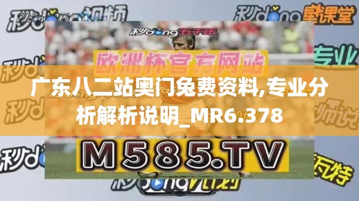 广东八二站奥门兔费资料,专业分析解析说明_MR6.378
