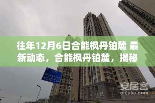 合能枫丹铂麓十二月六日最新动态揭秘与影响概述
