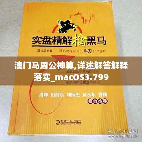 澳门马周公神算,详述解答解释落实_macOS3.799