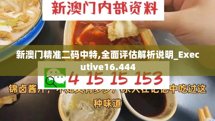 新澳门精准二码中特,全面评估解析说明_Executive16.444