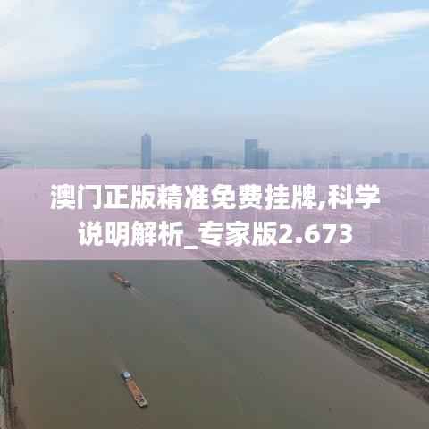 澳门正版精准免费挂牌,科学说明解析_专家版2.673