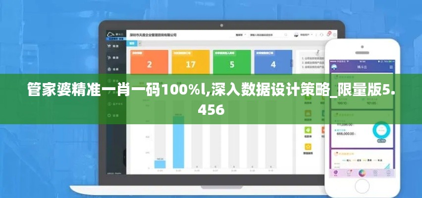 管家婆精准一肖一码100%l,深入数据设计策略_限量版5.456