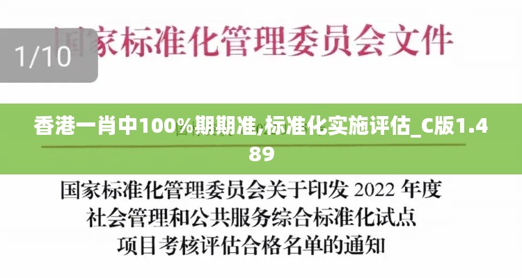 香港一肖中100%期期准,标准化实施评估_C版1.489