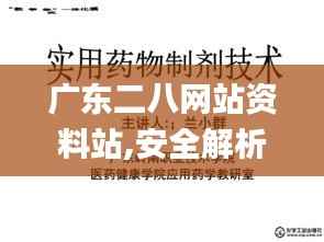 广东二八网站资料站,安全解析策略_桌面版2.902