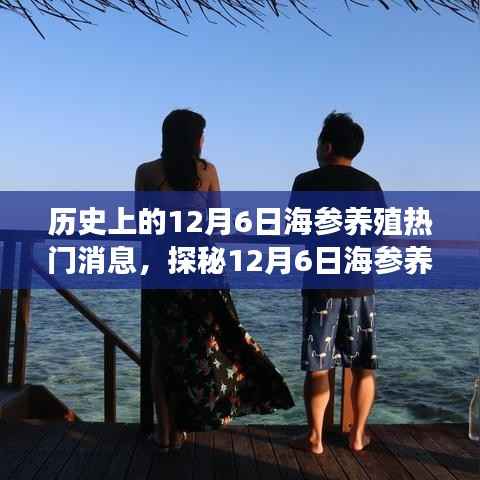 探秘海参养殖盛事,揭秘12月6日海参奇趣秘境与养殖热门消息回顾